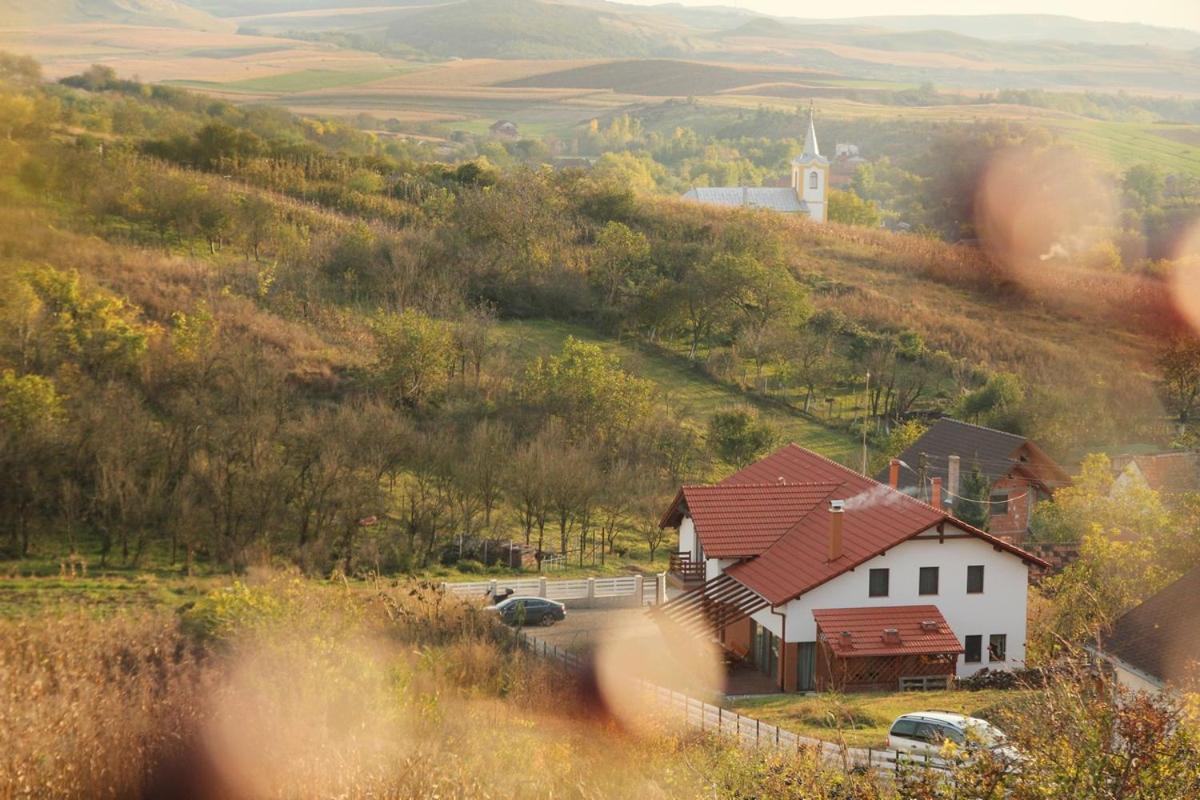 Pensiunea Casa Din VII Seusa ภายนอก รูปภาพ